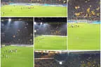 Kampfmannschaften beim BVB 2016 Bild 1